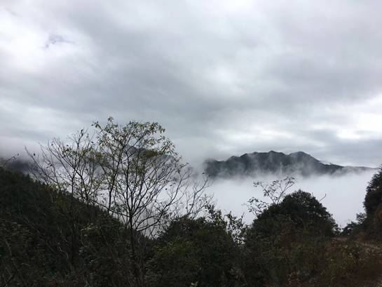 探索自然美景之旅，尋找內(nèi)心的平和與寧靜——Lu福利之旅的驚喜等待您！