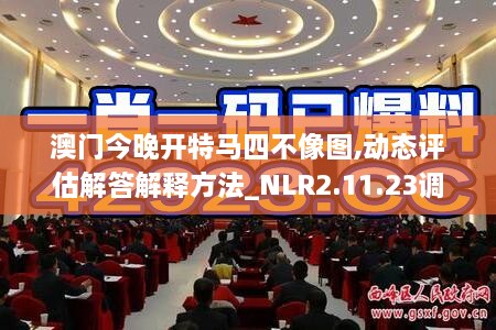 澳門今晚開特馬四不像圖,動態(tài)評估解答解釋方法_NLR2.11.23調(diào)整版