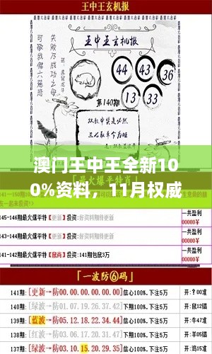 澳門(mén)王中王全新100%資料，11月權(quán)威解析現(xiàn)象_PTP5.72.33互聯(lián)網(wǎng)版本