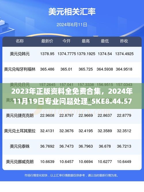 2023年正版資料全免費(fèi)合集，2024年11月19日專業(yè)問(wèn)題處理_SKE8.44.57定制版