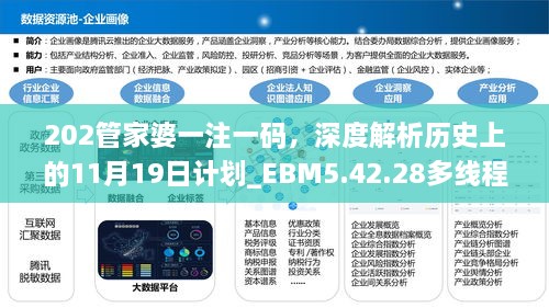 202管家婆一注一碼，深度解析歷史上的11月19日計(jì)劃_EBM5.42.28多線(xiàn)程版本