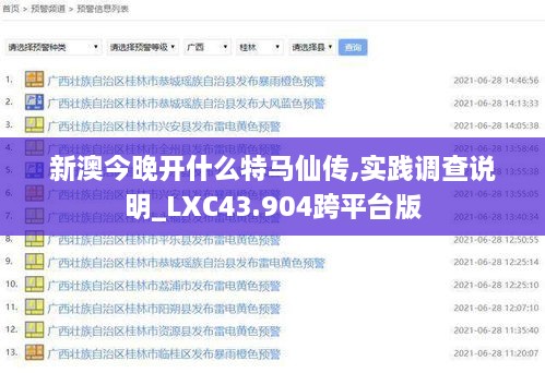 新澳今晚開什么特馬仙傳,實踐調(diào)查說明_LXC43.904跨平臺版