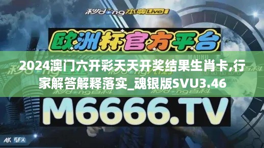 2024澳門六開彩天天開獎(jiǎng)結(jié)果生肖卡,行家解答解釋落實(shí)_魂銀版SVU3.46