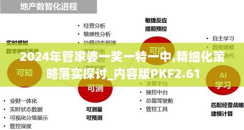 2024年管家婆一獎一特一中,精細化策略落實探討_內容版PKF2.61