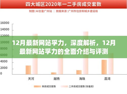 12月最新網(wǎng)站孚力深度解析與全面介紹評測