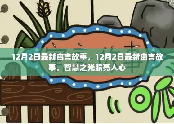 12月2日最新寓言故事，智慧之光照耀人心