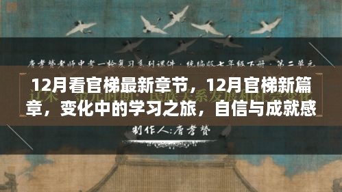 12月官梯新篇章，學(xué)習(xí)之旅的變化與自信成就之源