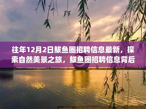 揭秘鲅魚(yú)圈招聘信息背后的自然美景之旅，寧?kù)o秘境等你來(lái)探索