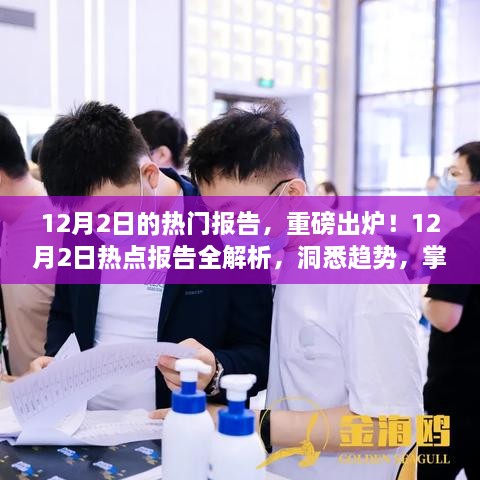 重磅熱點報告解析，洞悉趨勢，掌握未來（12月2日版）