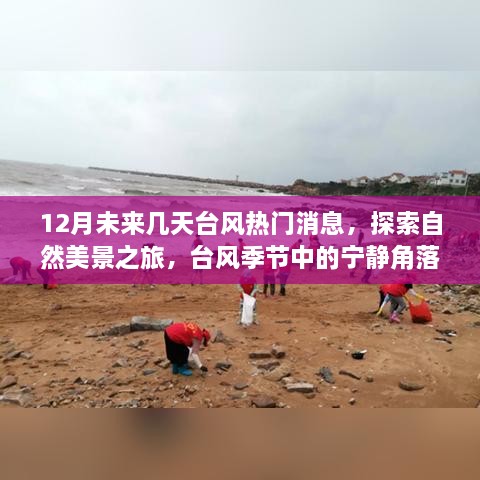 12月臺(tái)風(fēng)熱門(mén)消息，自然美景探索之旅——臺(tái)風(fēng)季節(jié)的寧?kù)o與冒險(xiǎn)