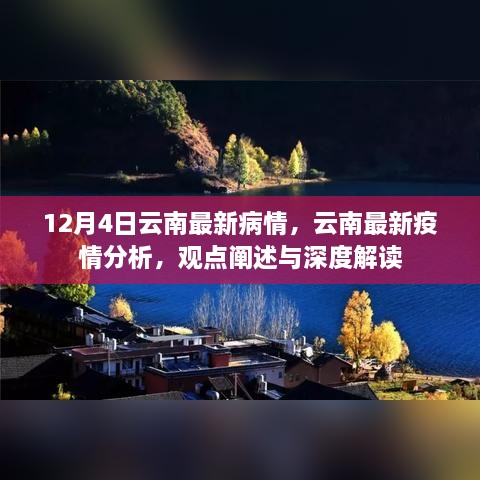 云南疫情最新動態(tài)，深度解讀與分析報告（12月4日更新）