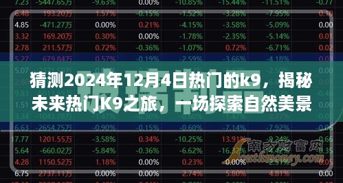 揭秘未來熱門K9之旅，啟程于2024年12月4日的自然美景探索之旅