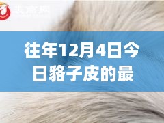 12月4日貉子皮最新價格及歷年趨勢解析，市場動態(tài)一覽