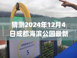 探秘時光角落，成都海濱公園2024年12月4日的最新動態(tài)與溫馨日常揭秘