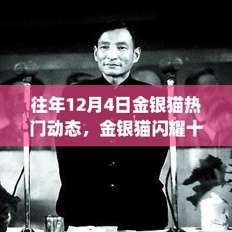 歷年金銀貓閃耀十二月，深度回顧歷年12月4日的熱門動(dòng)態(tài)