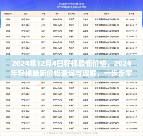 2024年12月4日籽棉最新價(jià)格，2024年籽棉最新價(jià)格查詢與理解，一步步掌握行情分析技能