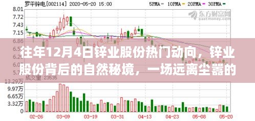 鋅業(yè)股份背后的自然秘境，一場遠離塵囂的心靈之旅揭秘往年12月4日熱門動向