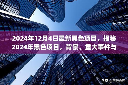 揭秘，2024年黑色項目的背景、重大事件與深遠影響全解析