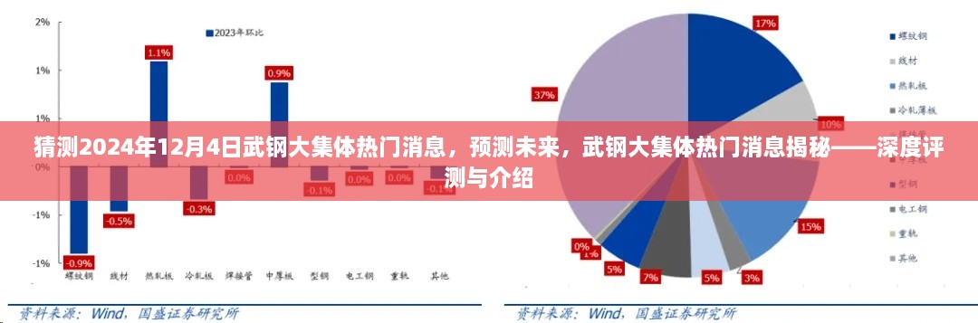 揭秘武鋼大集體未來熱門消息，深度評測與預測報告（2024年12月4日版）