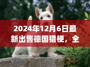 最新德國(guó)獵梗犬全面評(píng)測(cè)與出售信息，特性、競(jìng)品對(duì)比及目標(biāo)用戶(hù)分析（2024年最新版）