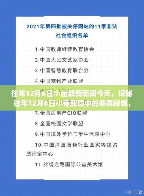 探秘往年12月6日小崔新聞中的巷弄秘境，小巷深處的特色小店揭秘