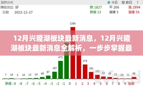 掌握興隆湖板塊最新動態(tài)，全面解析十二月最新消息