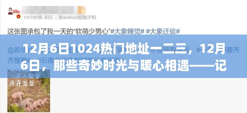 記藏于數(shù)字一二三間的溫馨日常，12月6日的奇妙時(shí)光與暖心相遇