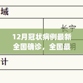 全國最新冠狀病例確診流程詳解，12月冠狀病例確診操作指南