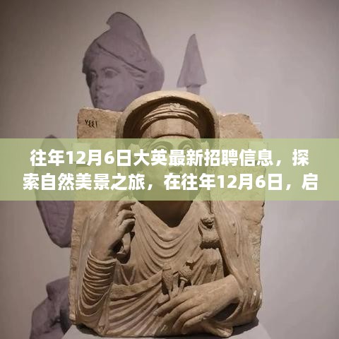 往年12月6日，最新招聘信息與自然美景探索之旅的雙重驚喜，啟程尋找工作與心靈的寧?kù)o