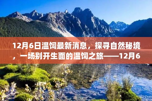 揭秘自然秘境，一場(chǎng)別開(kāi)生面的溫飼之旅最新消息（12月6日）