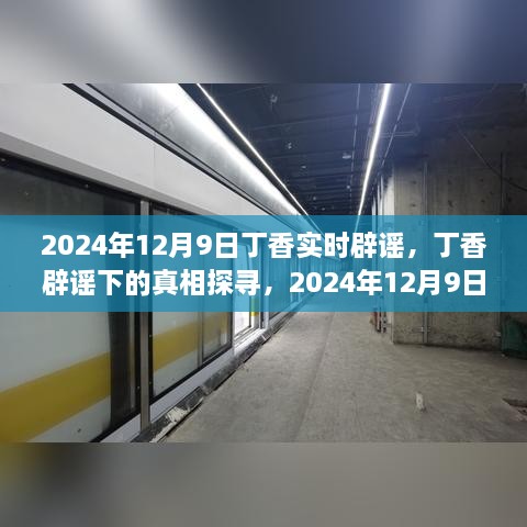 2024年視角下的丁香實(shí)時(shí)辟謠，探尋真相之旅