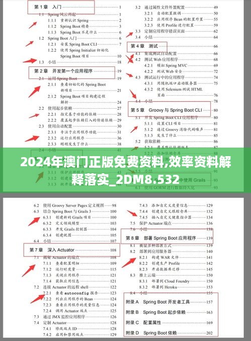 2024年澳門正版免費資料,效率資料解釋落實_2DM8.532