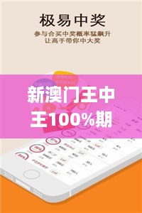 新澳門(mén)王中王100%期期中,權(quán)威分析說(shuō)明_OP4.113