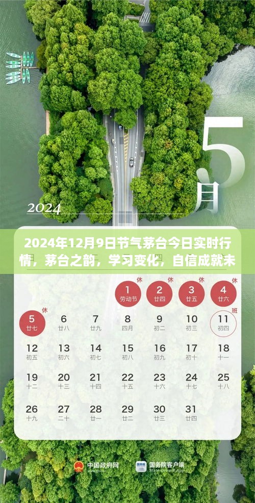 茅臺之韻，2024年12月9日實時行情啟示錄，洞悉變化，自信筑夢未來