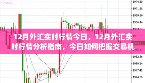 12月外匯實時行情解析，把握今日交易機遇的指南