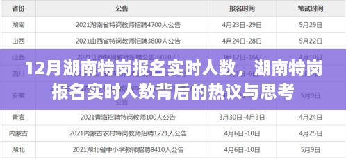 湖南特崗報名實時人數(shù)熱議與思考，背后的真相與啟示