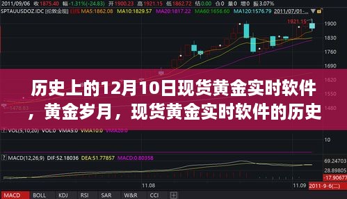 黃金歲月，現貨黃金實時軟件的歷史演變與影響回顧及影響分析