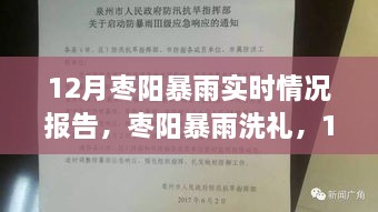 棗陽暴雨實(shí)時(shí)報(bào)告，12月暴雨洗禮下的最新情況分析