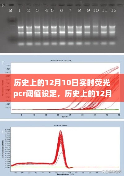 歷史上的12月10日，實(shí)時(shí)熒光PCR閾值設(shè)定的探索之旅