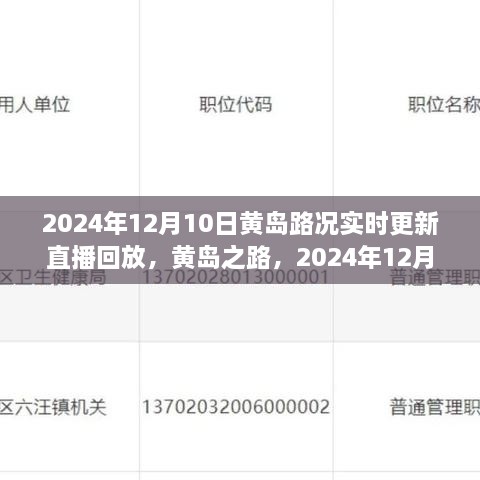 2024年12月10日黃島路況實(shí)錄與深度解讀，實(shí)時(shí)更新直播回放