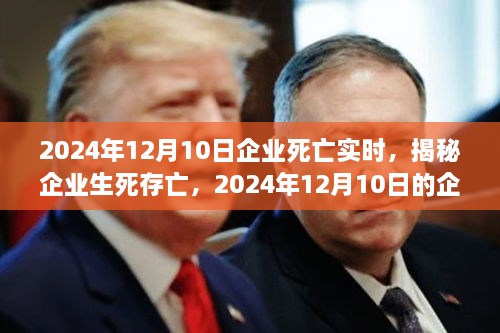 揭秘企業(yè)生死存亡，企業(yè)死亡實時真相揭秘（2024年12月10日）