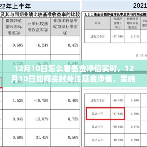 12月10日基金凈值實時關(guān)注策略與技巧，如何掌握基金動態(tài)