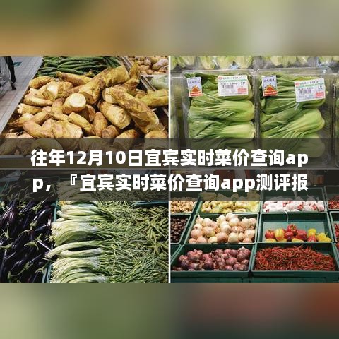 宜賓實(shí)時(shí)菜價(jià)查詢app歷年功能深度解析與用戶體驗(yàn)洞察測評報(bào)告，宜賓歷年菜價(jià)變遷一覽無余！