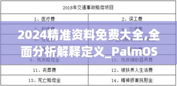 2024精準(zhǔn)資料免費(fèi)大全,全面分析解釋定義_PalmOS12.190