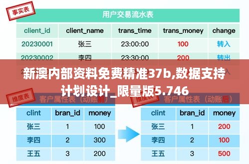 新澳內(nèi)部資料免費(fèi)精準(zhǔn)37b,數(shù)據(jù)支持計(jì)劃設(shè)計(jì)_限量版5.746