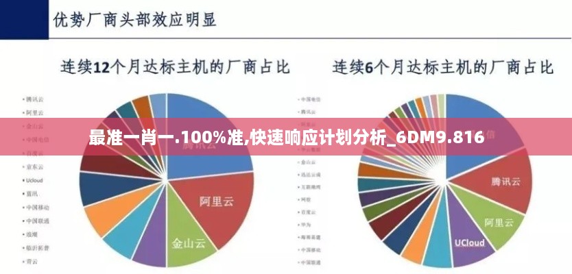 最準(zhǔn)一肖一.100%準(zhǔn),快速響應(yīng)計劃分析_6DM9.816