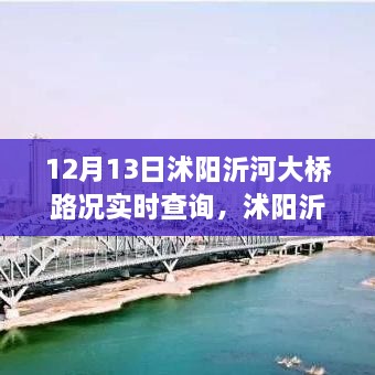 沭陽(yáng)沂河大橋?qū)崟r(shí)路況深度解析，影響與價(jià)值探討