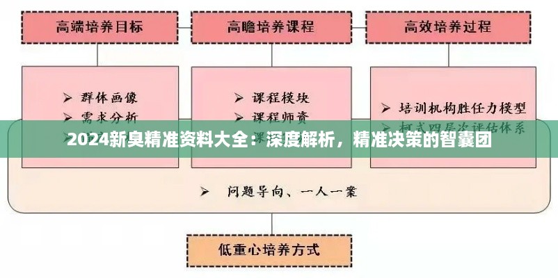 2024新臭精準資料大全：深度解析，精準決策的智囊團