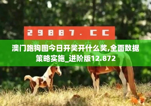 澳門跑狗圖今日開獎開什么獎,全面數(shù)據(jù)策略實施_進階版12.872