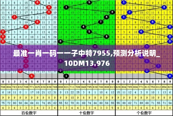 最準一肖一碼一一子中特7955,預(yù)測分析說明_10DM13.976